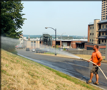 DOUG JEWELL OF ESF PHYSICAL PLANT WATERS A RECENTLY ESTABLISHED NO-MOW ZONE ON THE ESF MAIN CAMPUS.