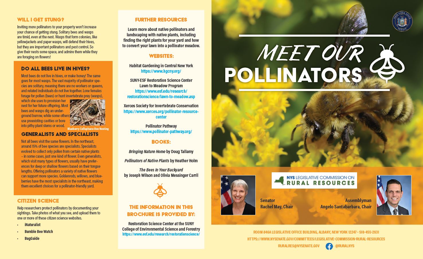 screenshot of brochure created by restoration science center, entitled "Meet Our Pollinators"