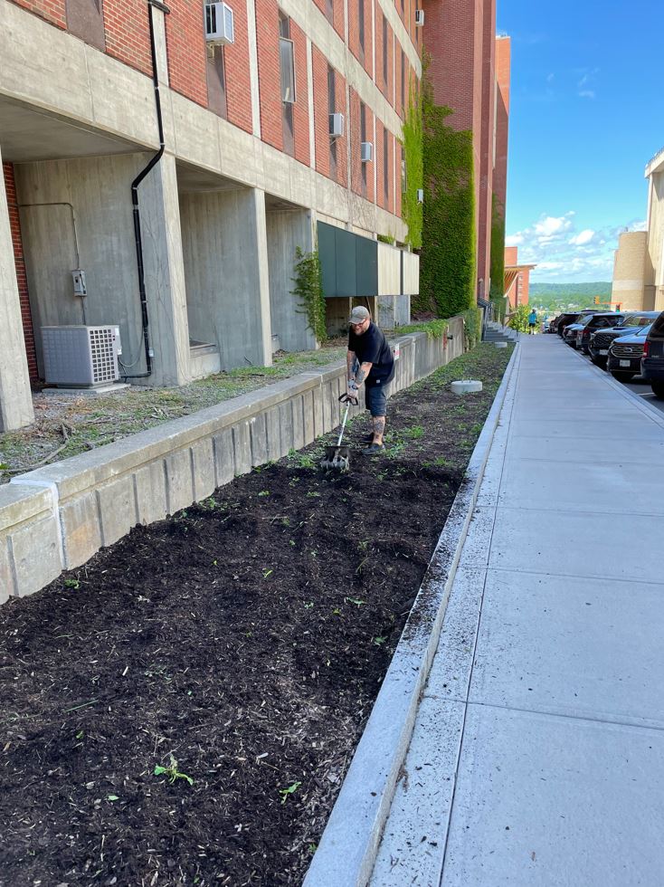 grounds crew member tilling a landscape bed with electric tiller