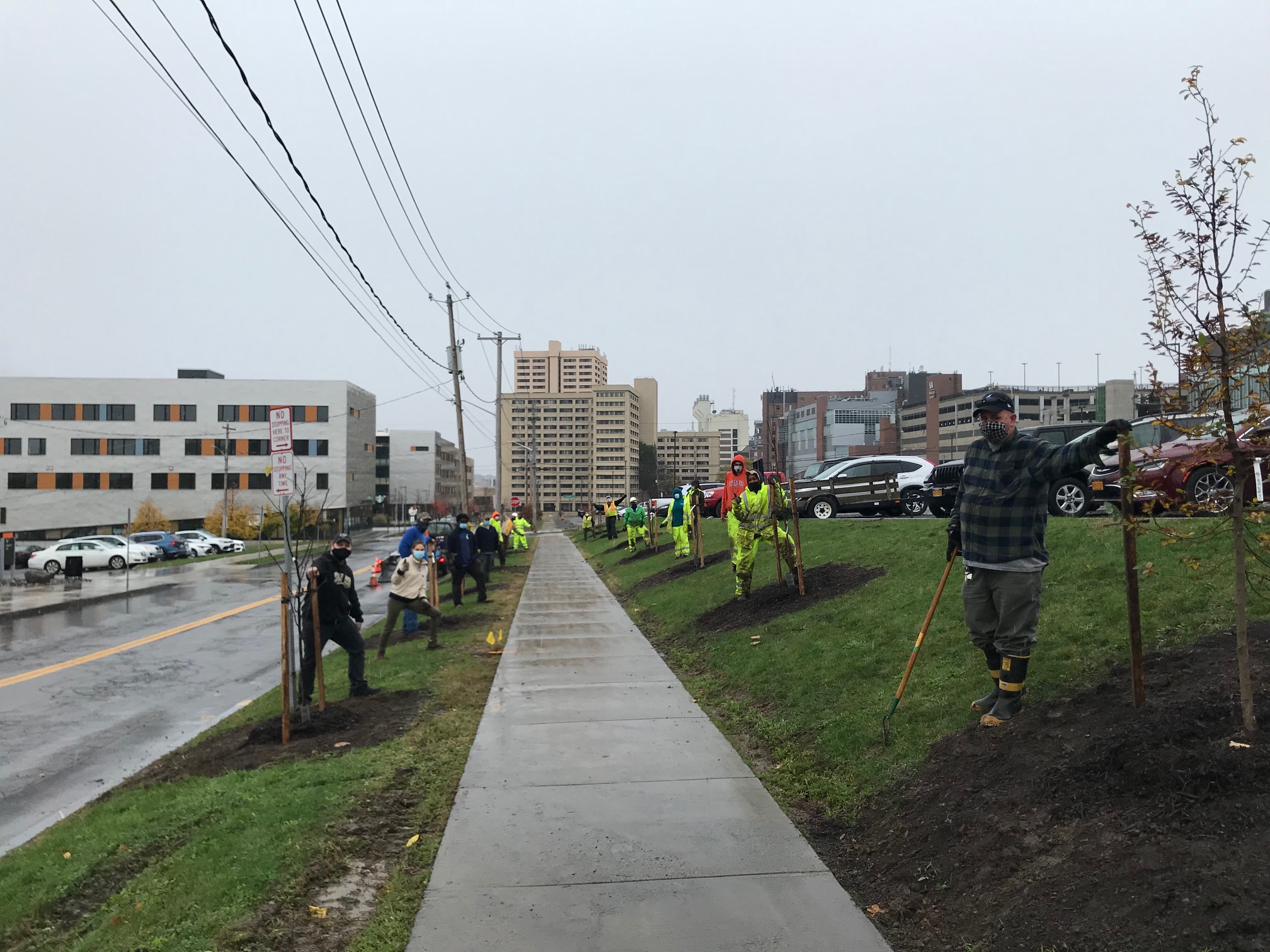 tree planting oec group