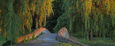 Path and stone bridge in a park