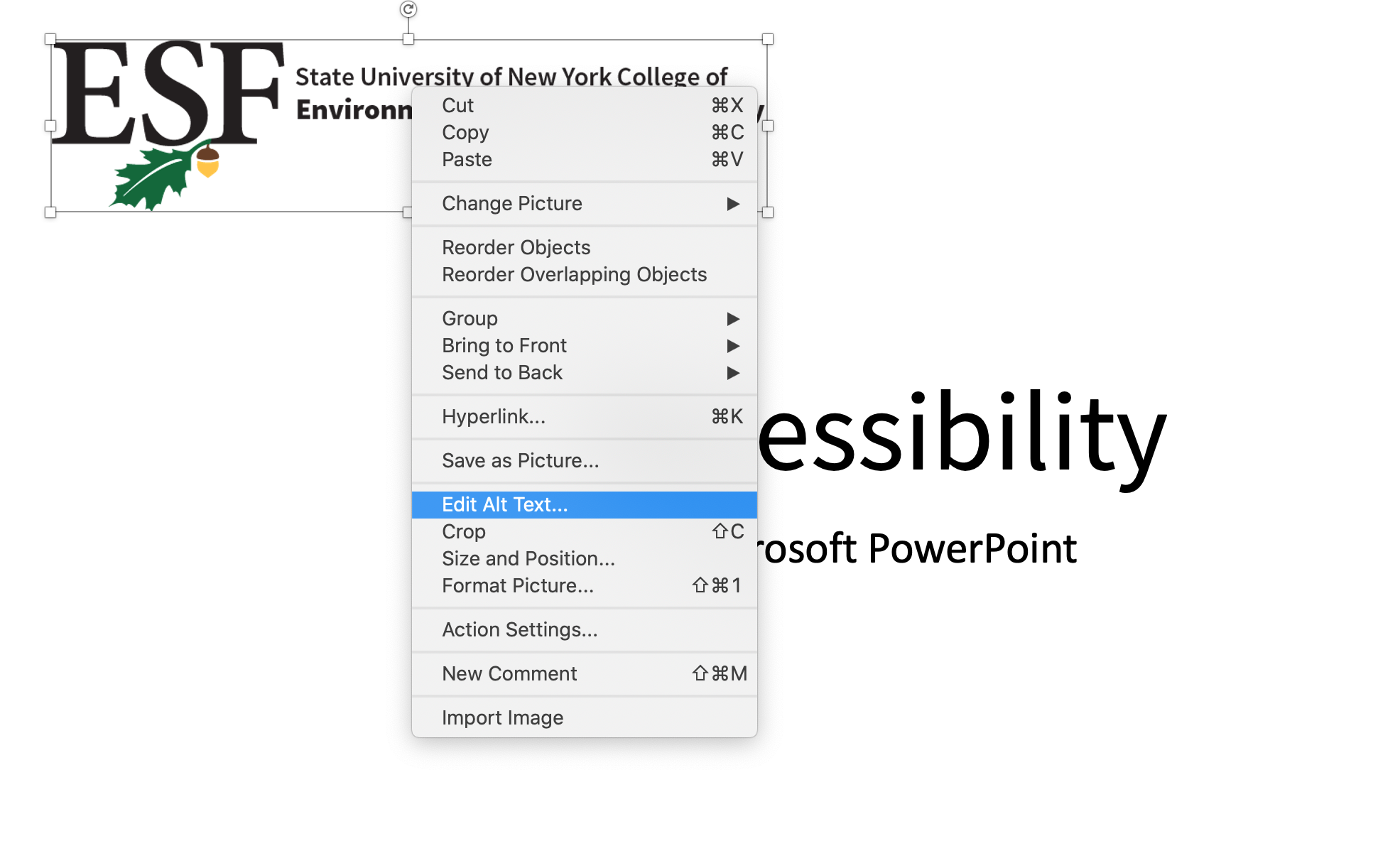 how to add alternate text in microsoft powerpoint slides