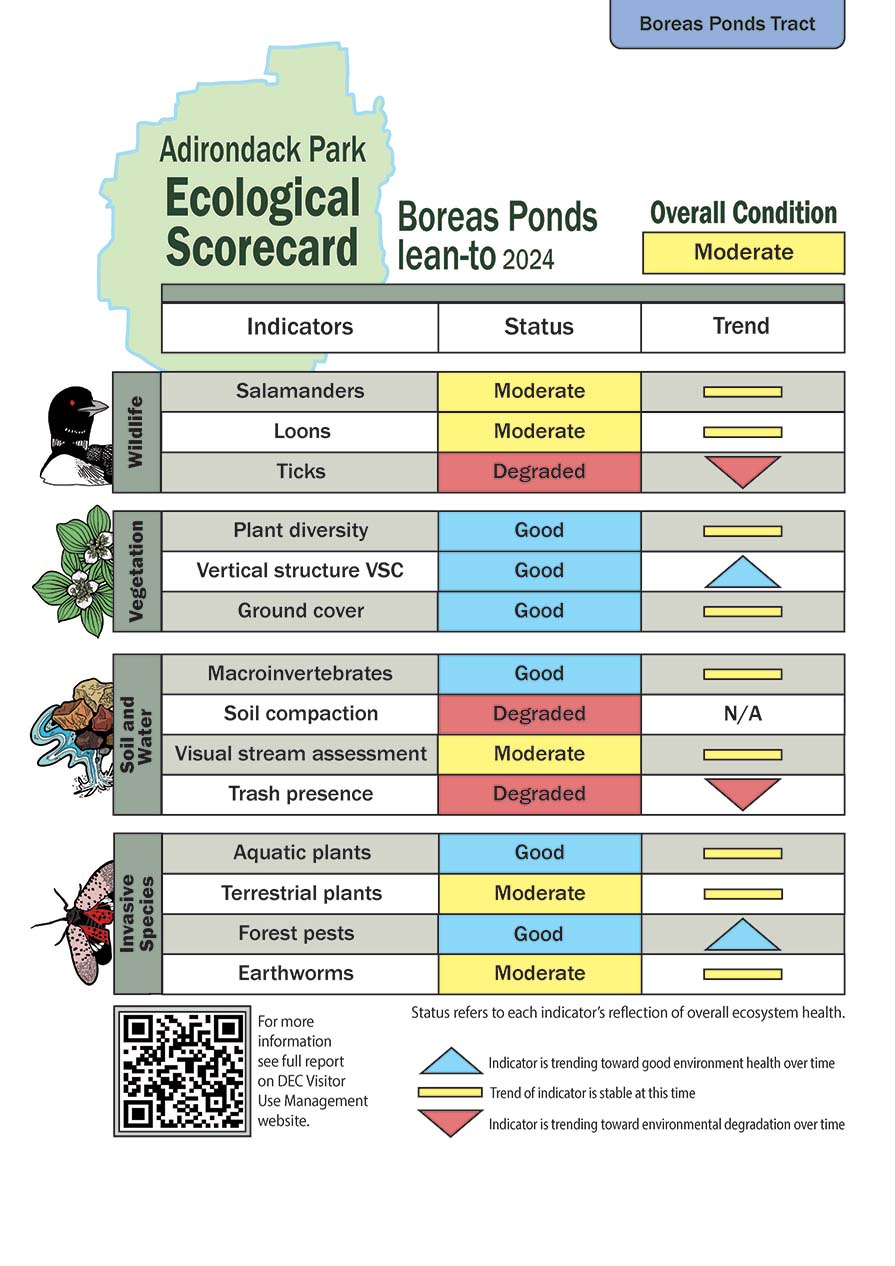 Scorecard design