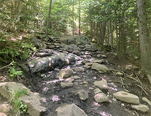 frequently used trail at Cascade Mountain