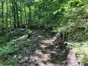 recently constructed trail in Cascade Mountain