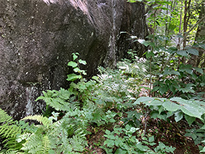 rockclimbing site