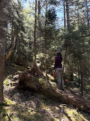 Alex Cassu measuring vegetation