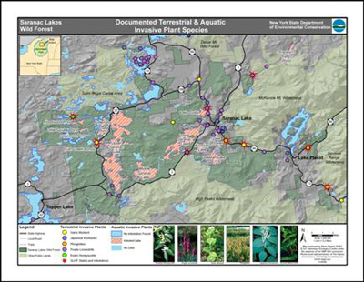 saranac_lakes_invasies_thumb