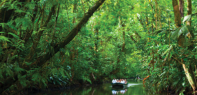 Costa Rica 2026 Trip