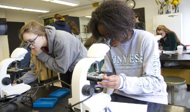 Students working at microscopes in a laboratory.