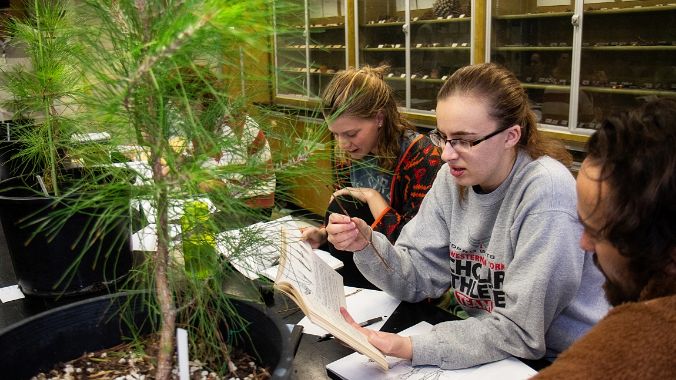 Students taking notes and looking at young trees.