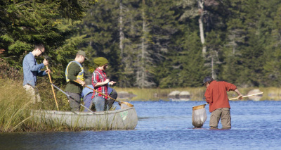Students in a canoe and one student wading in a stream with net.