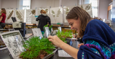Student working with plant specimens in a laboratory.