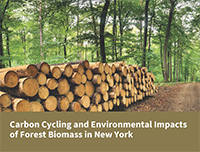 Carbon Cycling and Environmental Impacts from Growing, Harvesting, and Processing Forest Biomass in New York State