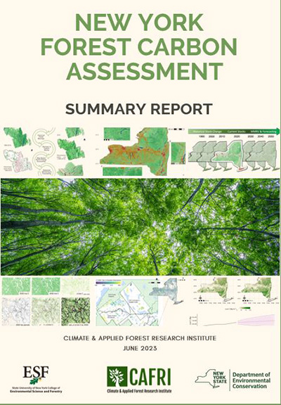 cover page of the new york carbon assessment summary report