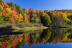 water surrounded by trees in fall colors
