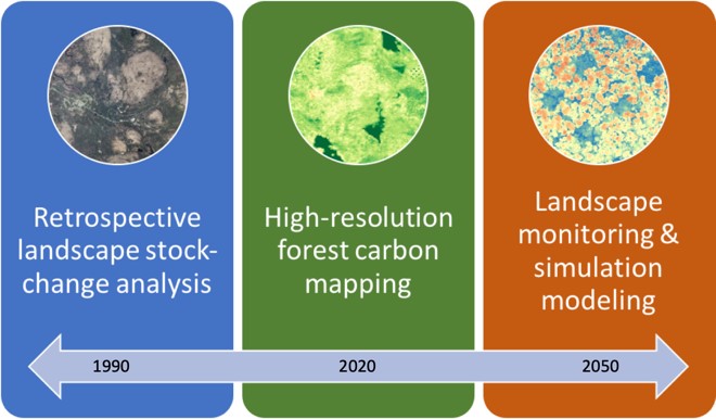 Chart showing new york forest carbon assessment in the years 1990, 2020, and 2050