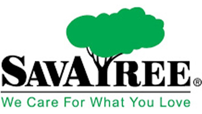 Savatree [logo]