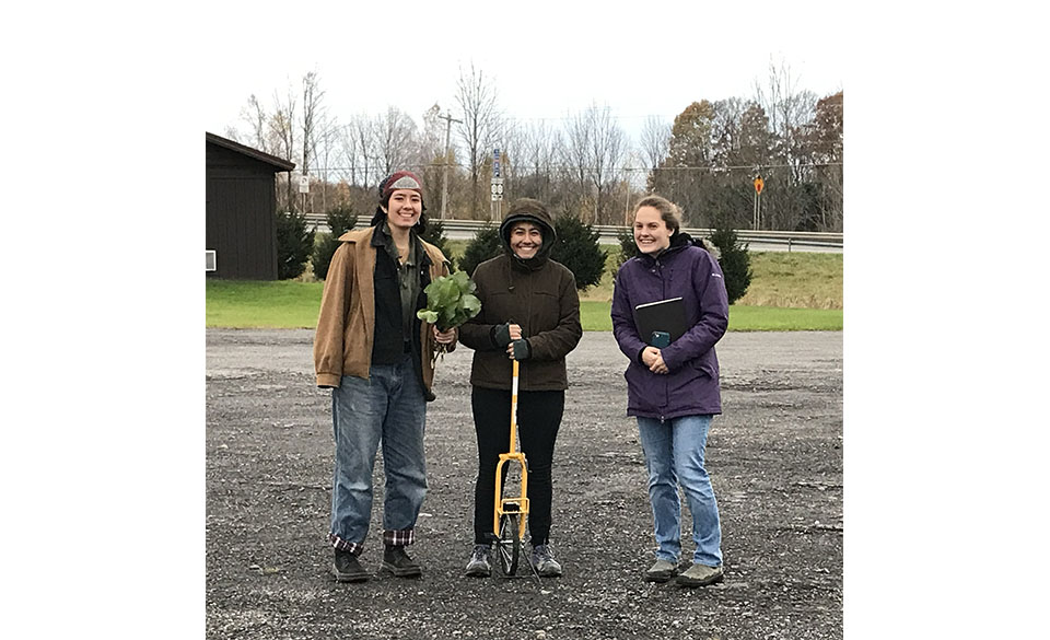Three students are working the landscape outdoors. One student is holding a bunch of green leafy plants and another student is holding a yellow tool with a wheel.  The third student is holder their cellphone and notebook. 