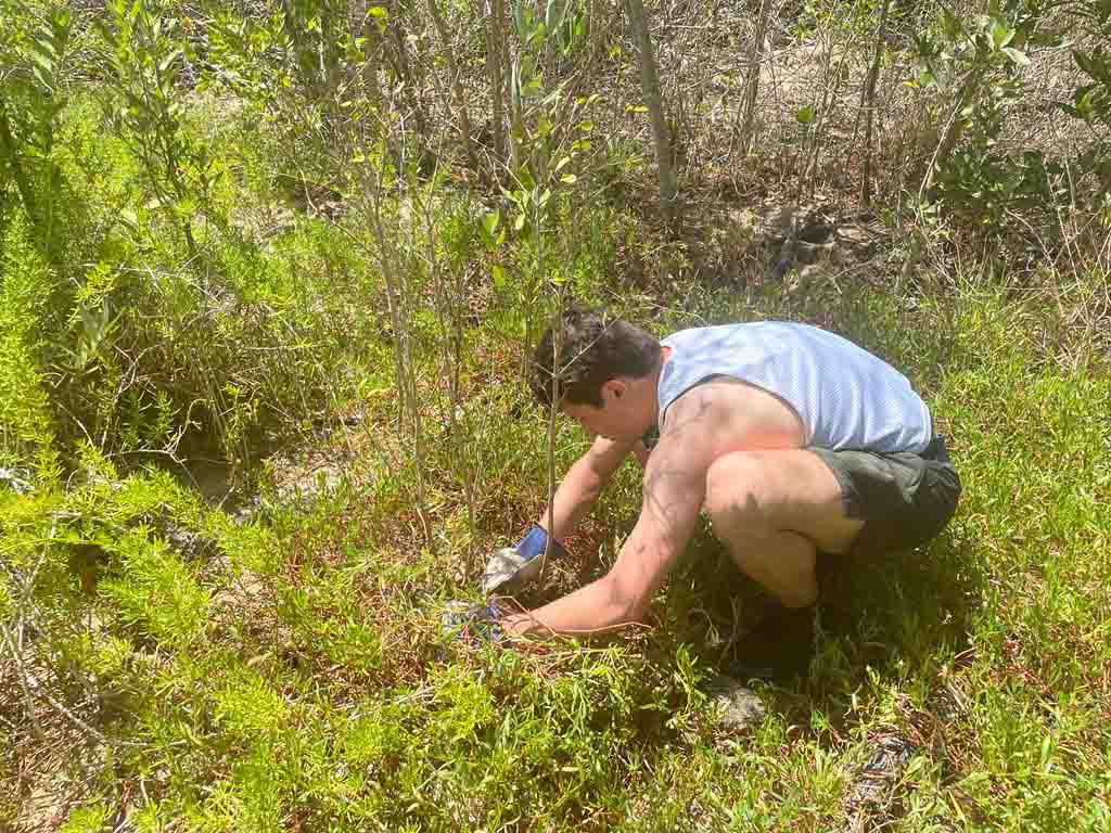 A student is planting a sapling in this photo.  They are surrounded by plants and small trees.