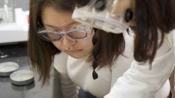 Student looking at an experiment in a laboratory.
