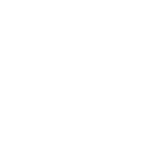 Globe icon