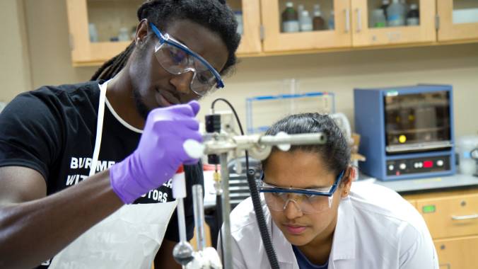 Students working in a laboratory