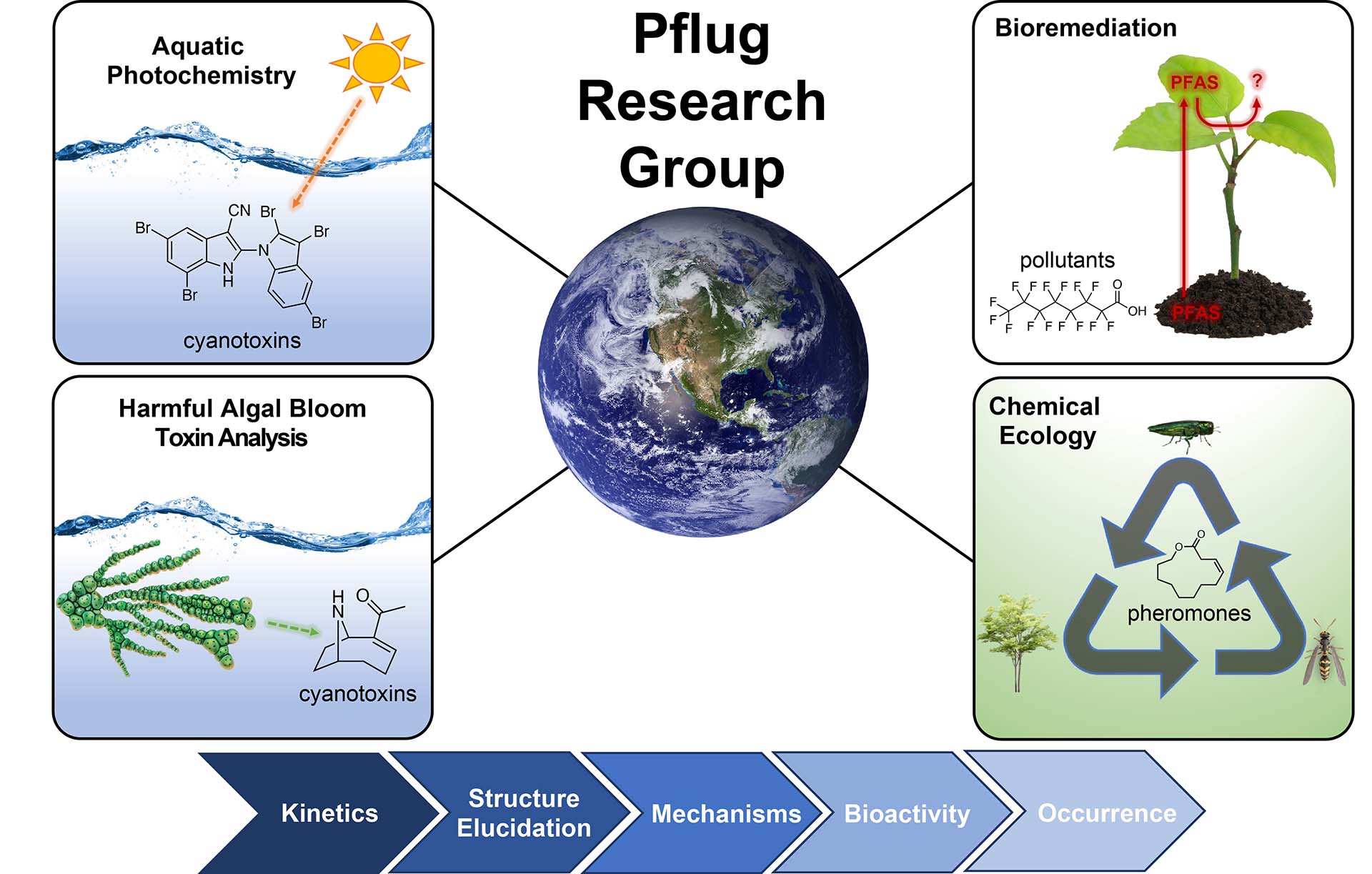 Diagram showing the relationship of different areas of research in the Pflug Lab.