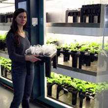 a girl holding tissue culture samples