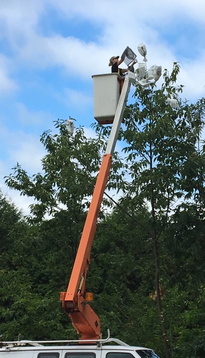 Hand-pollinating a timeber-type american chestnut mother tree using a crane