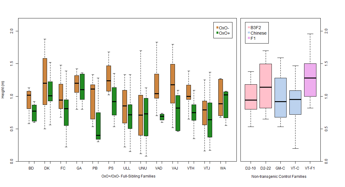 Figure 6: Height comparison for OxO- (brown) and OxO+ (green) trees by family.