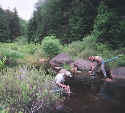 Kendal and Abby using D-nets to sample invertebrates on East Creek