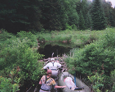 Kendal and Abby bushwhacking over beaver dam
