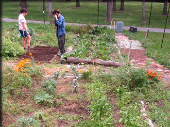 Images from the Lafayette Road garden