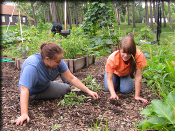 Images from the Lafayette Road garden