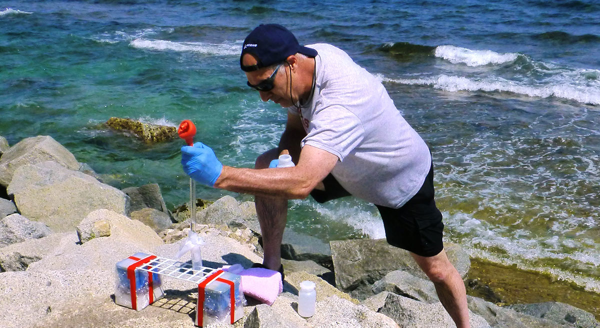 Professor Kieber sampling