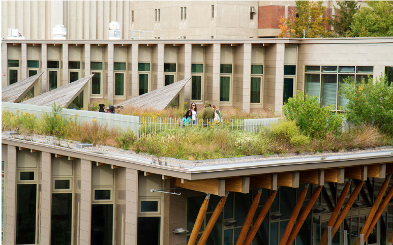 ESF Green Roof above Gateway Center 