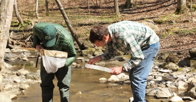 Stream sampling with nets in the woods.