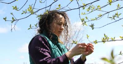 Woman examining a bud at the end of a tree branch.
