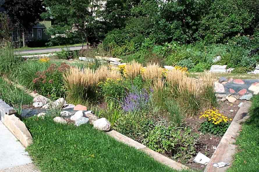 Rain Gardens