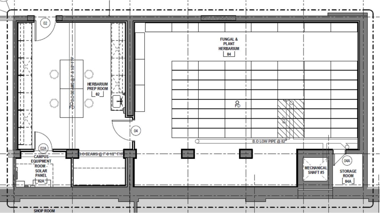 Diagram showing Walters lower level floor plan