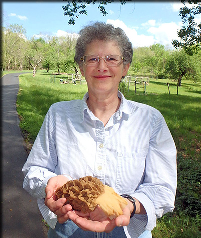 Karin Limburg
