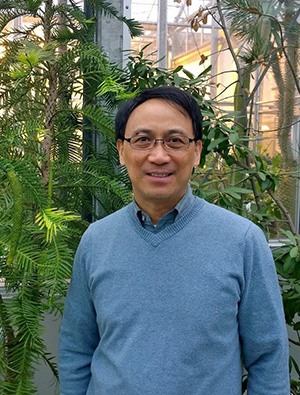 Danilo Fernando