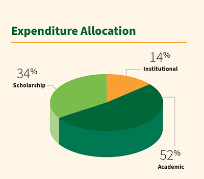 Expenditure allocation 