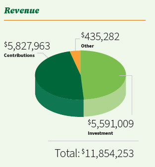Revenue