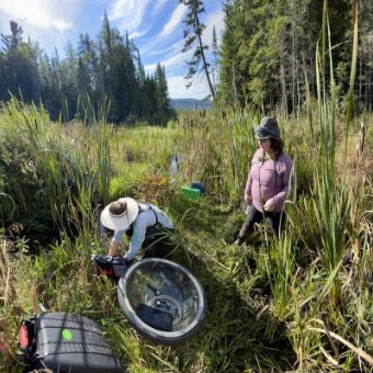 Collecting samples in the field.
