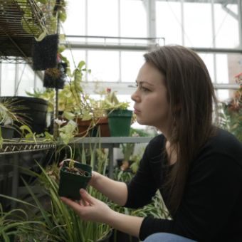 A person hods a plant sample in a greenhouse.