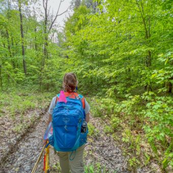 A person walks a path in the woods