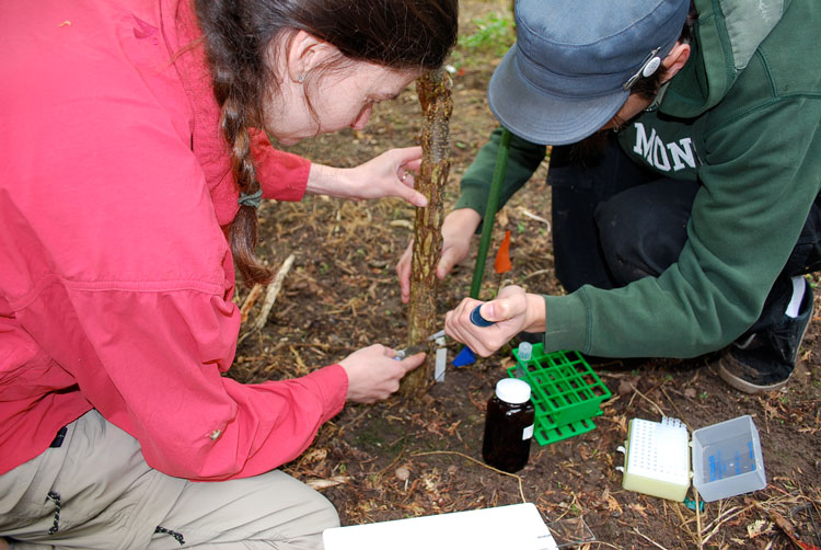 Students working in the field.