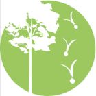 ISDSI [logo]